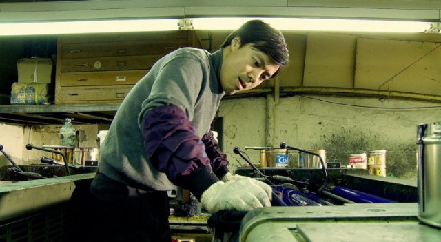 Animal Town Fotoğrafı