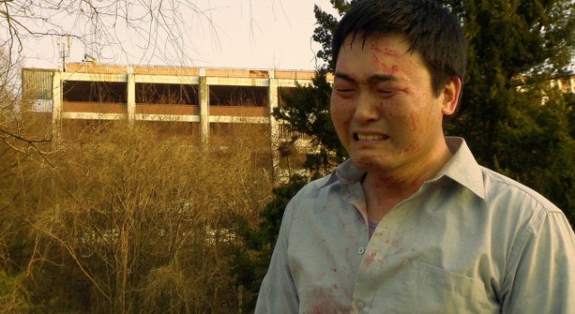 Animal Town Fotoğrafı