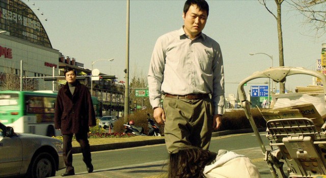 Animal Town Fotoğrafı