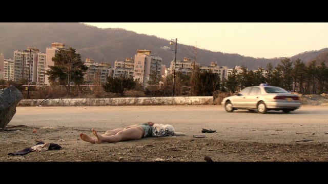 Animal Town fotoğrafı