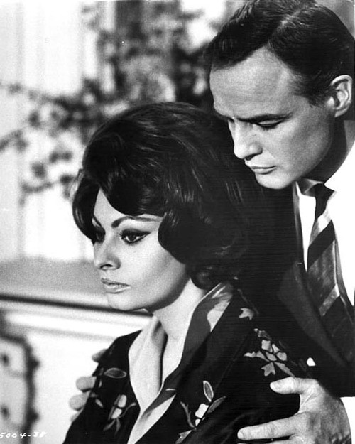 Hong Kong'lu Kontes fotoğrafı