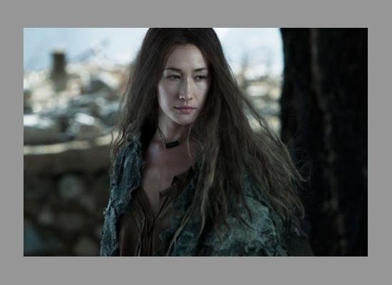 The Warrior And The Wolf fotoğrafı