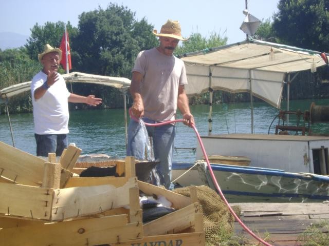 Denizden Gelen Fotoğrafı