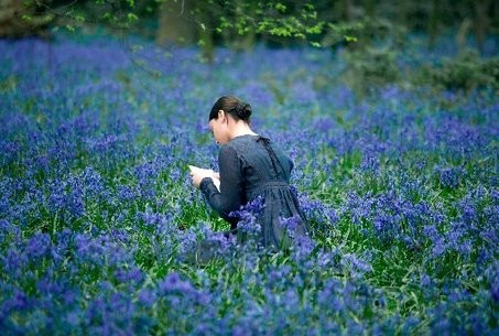 Parlak Yıldız Fotoğrafı