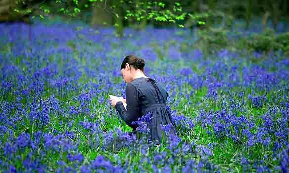 Parlak Yıldız Fotoğrafı