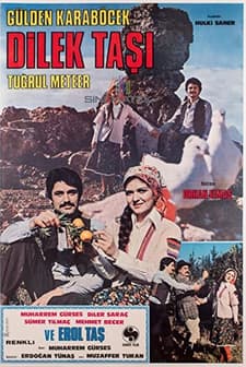 Dilek Taşı (1978) afişi