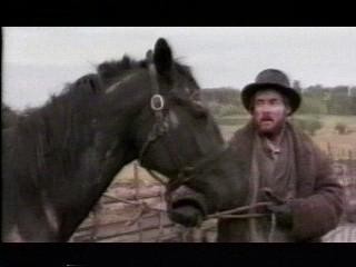 At Tüccarının Adaleti fotoğrafı