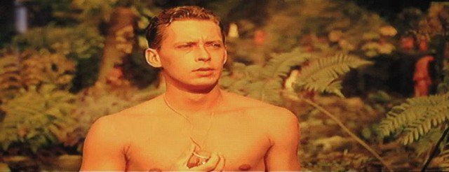 South Pacific fotoğrafı