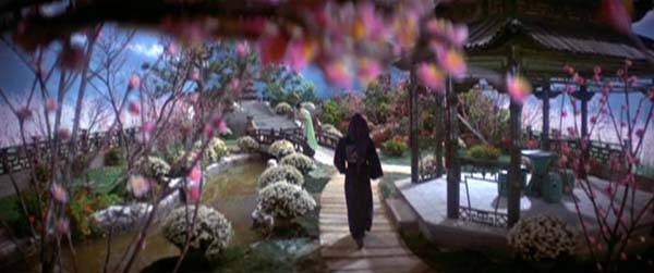 The Sentimental Swordsma fotoğrafı