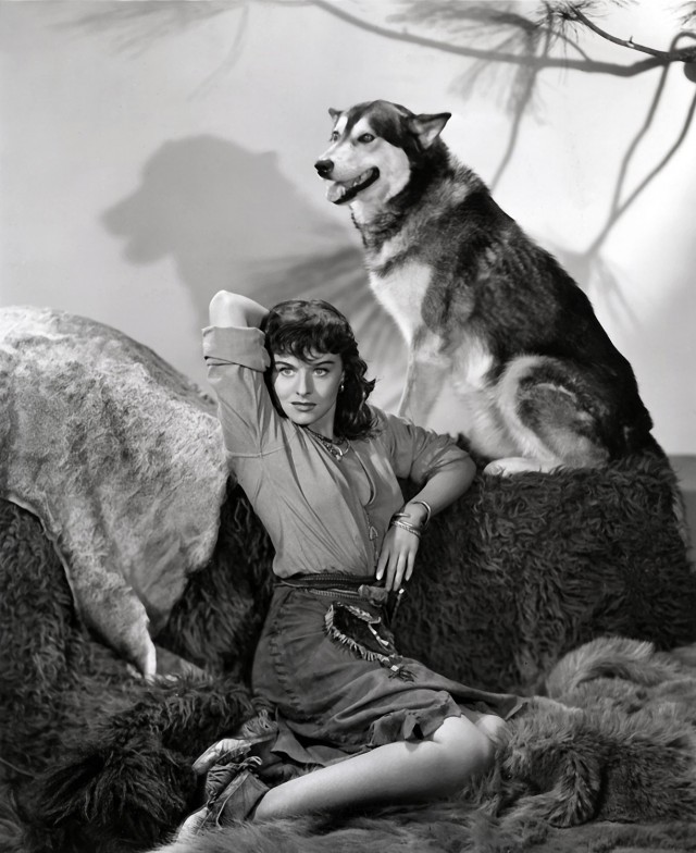 Giubbe Rosse fotoğrafı