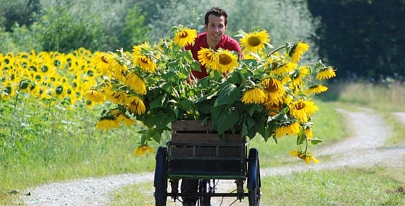 Willi Und Die Wunder Dieser Welt fotoğrafı