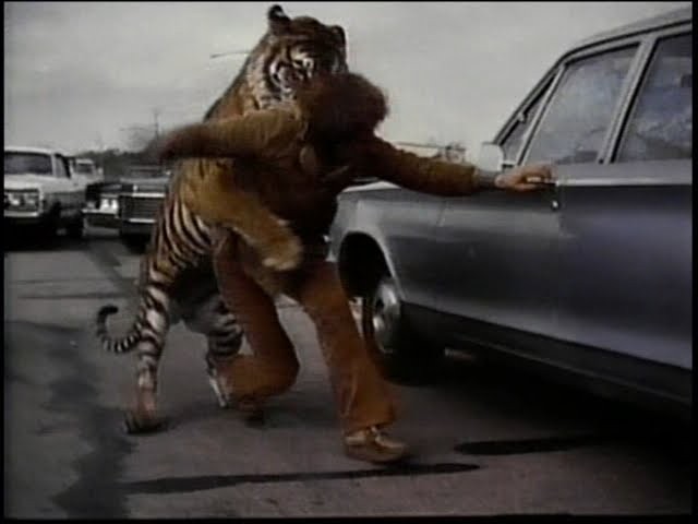 The Beasts Are On The Streets fotoğrafı