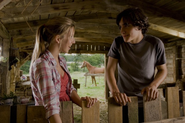 Summertime Blues fotoğrafı