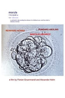 Morula (1994) afişi