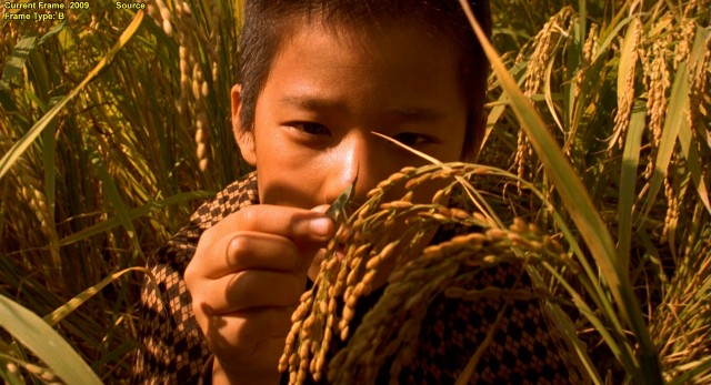 Cinayet Günlüğü fotoğrafı