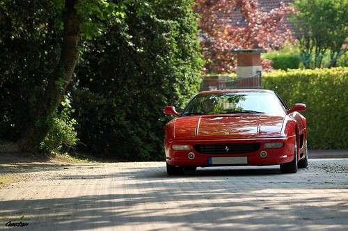 Rien Que Du Bonheur fotoğrafı