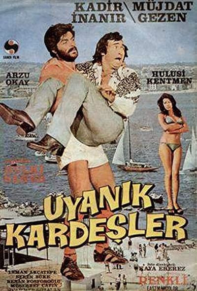 Uyanık Kardeşler (1974) afişi