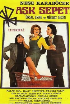 Aşk Sepeti (1972) afişi