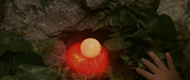 Gamera The Brave Fotoğrafı