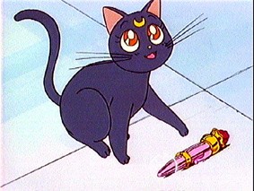 Pretty Soldier Sailor Moon Fotoğrafı