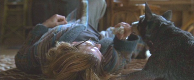 Gizli Pencere Fotoğrafı