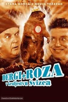 Dergi in Roza v kraljestvu svizca (2004) afişi
