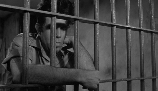 Down By Law Fotoğrafı