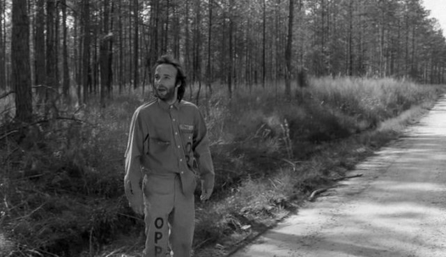 Down By Law fotoğrafı