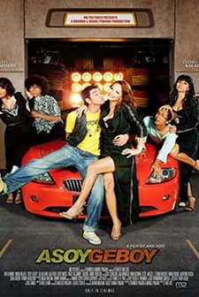Asoy Geboy (2008) afişi