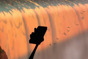 Aslan Kral 3 Fotoğrafı