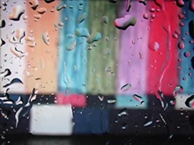 Accidentally Sprayed (2009) afişi