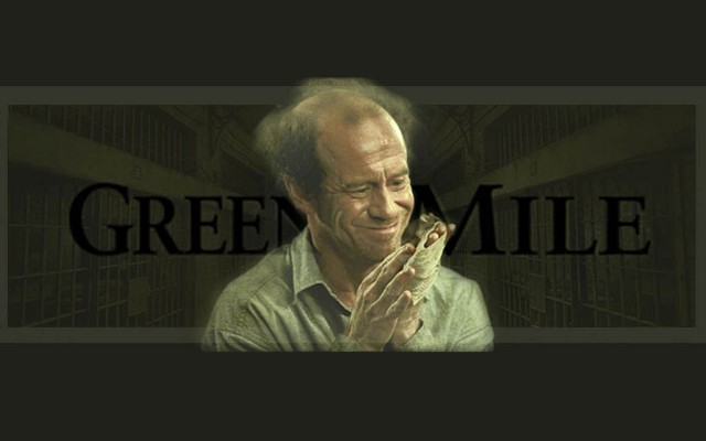 Yeşil Yol Fotoğrafı