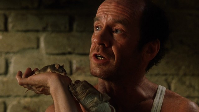 Yeşil Yol Fotoğrafı