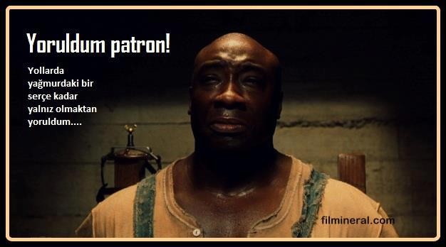 Yeşil Yol Fotoğrafı