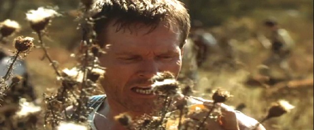 Yeşil Yol Fotoğrafı