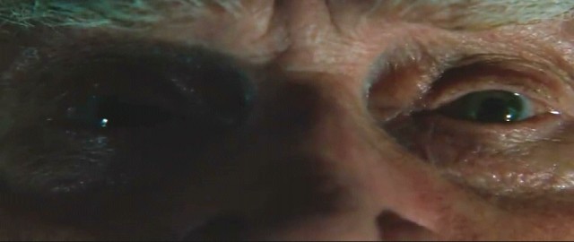 Yeşil Yol Fotoğrafı