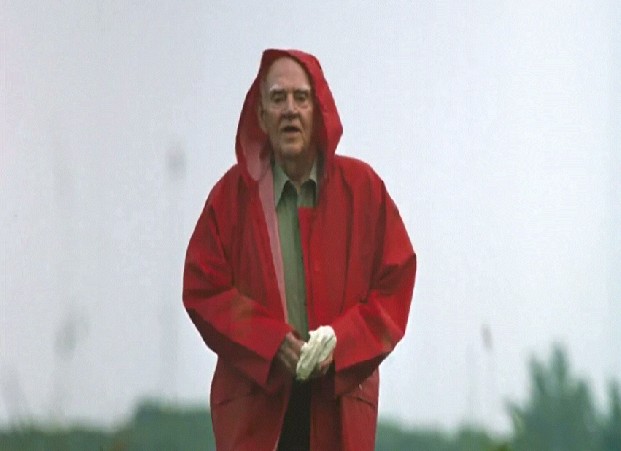 Yeşil Yol Fotoğrafı