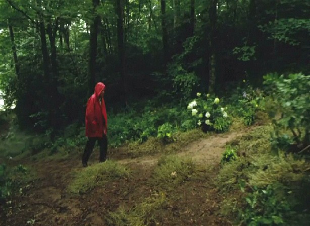 Yeşil Yol Fotoğrafı