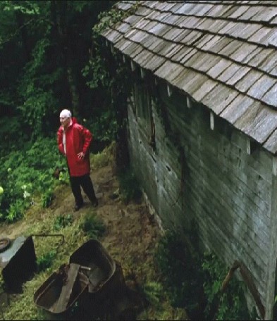 Yeşil Yol Fotoğrafı