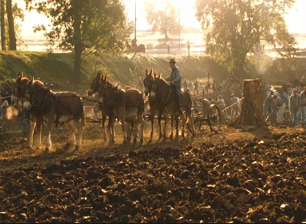 Yeşil Yol Fotoğrafı