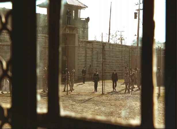 Yeşil Yol Fotoğrafı