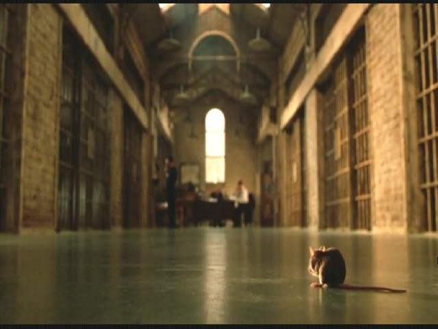 Yeşil Yol Fotoğrafı