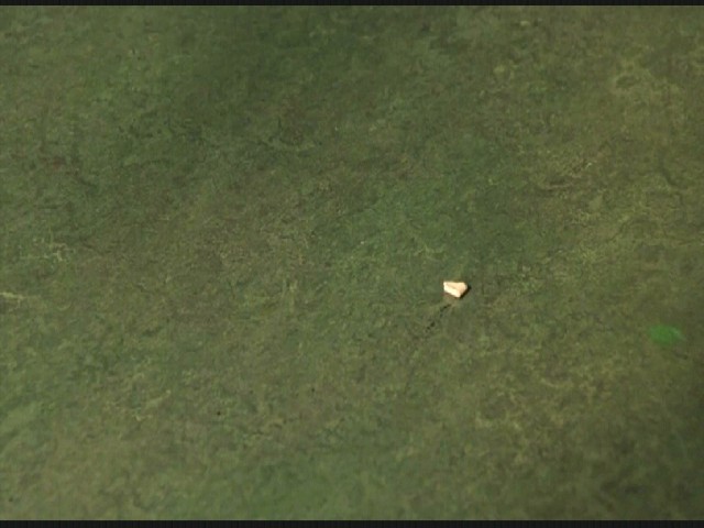 Yeşil Yol Fotoğrafı