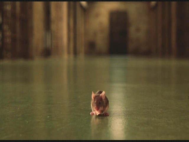 Yeşil Yol Fotoğrafı