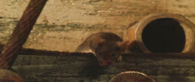 Yeşil Yol Fotoğrafı