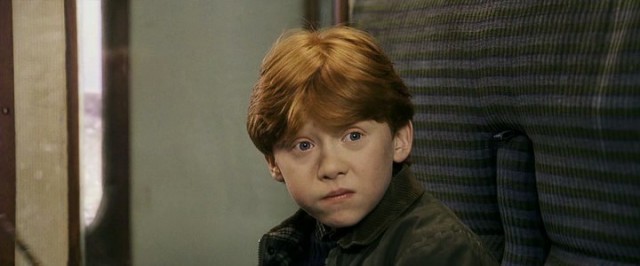 Harry Potter ve Felsefe Taşı Fotoğrafı