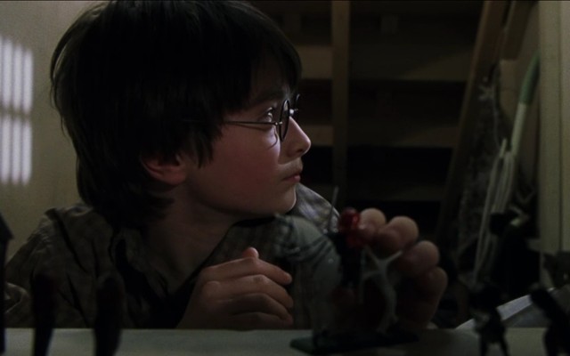 Harry Potter ve Felsefe Taşı Fotoğrafı