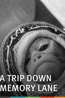 A Trip Down Memory Lane (1965) afişi