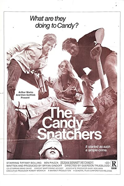 The Candy Snatchers (1973) afişi