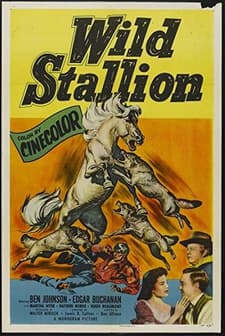 Wild Stallion (1952) afişi